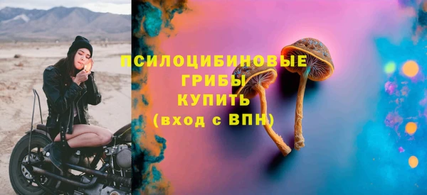 прущий лед Киреевск
