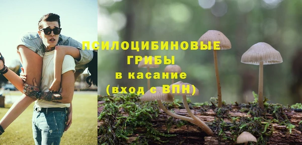 прущий лед Киреевск